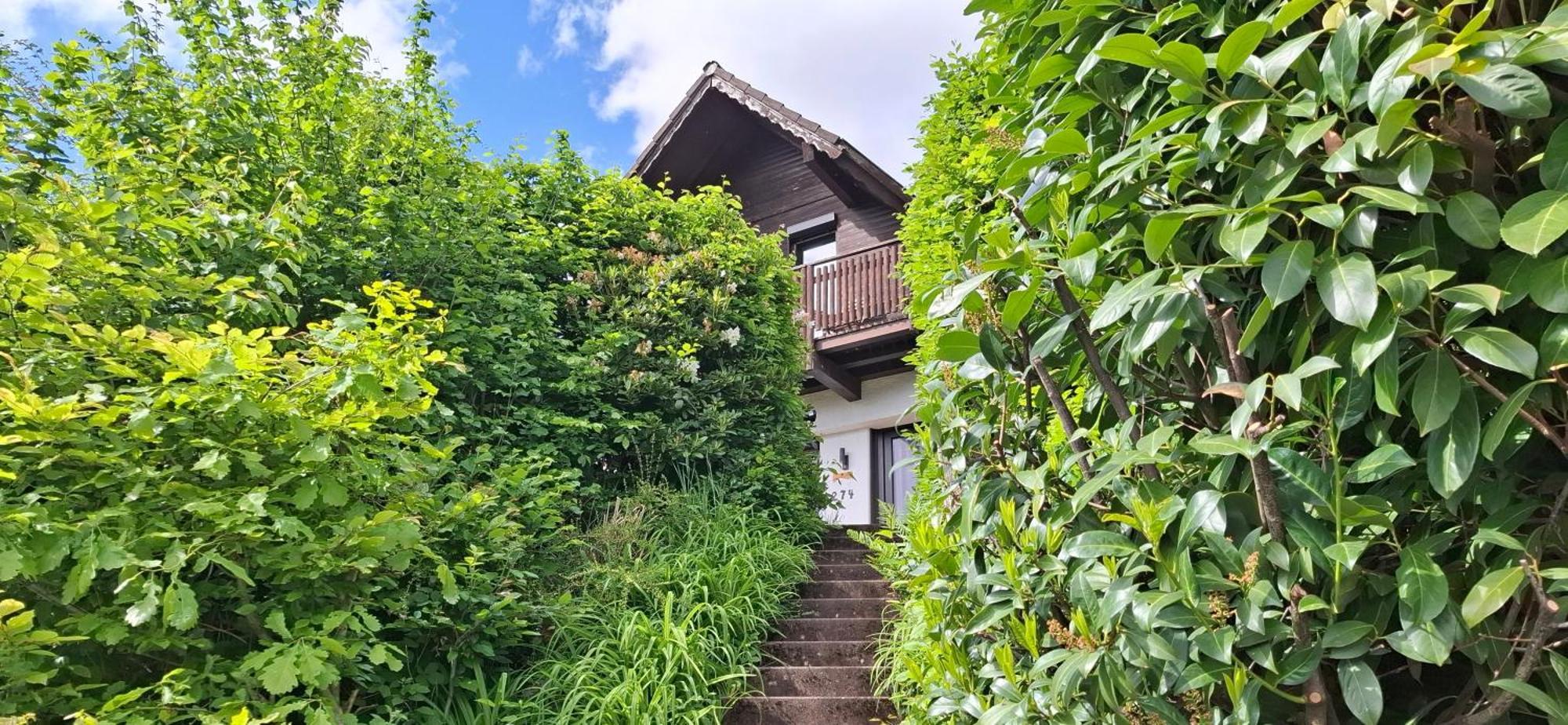 Villa Odenwald Lounge Reichelsheim Exterior foto